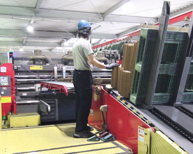 段ボールの製造ラインで作業するスタッフ